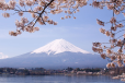 yamanashi