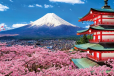 phú sĩ tokyo