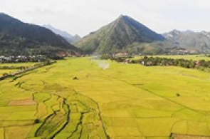 MÙ CANG CHẢI – HỒ THÁC BÀ MÙA LÚA CHÍN