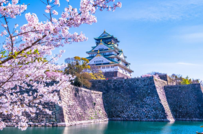 HÀ NỘI – OSAKA – KYOTO –  PHÚ SĨ - TOKYO